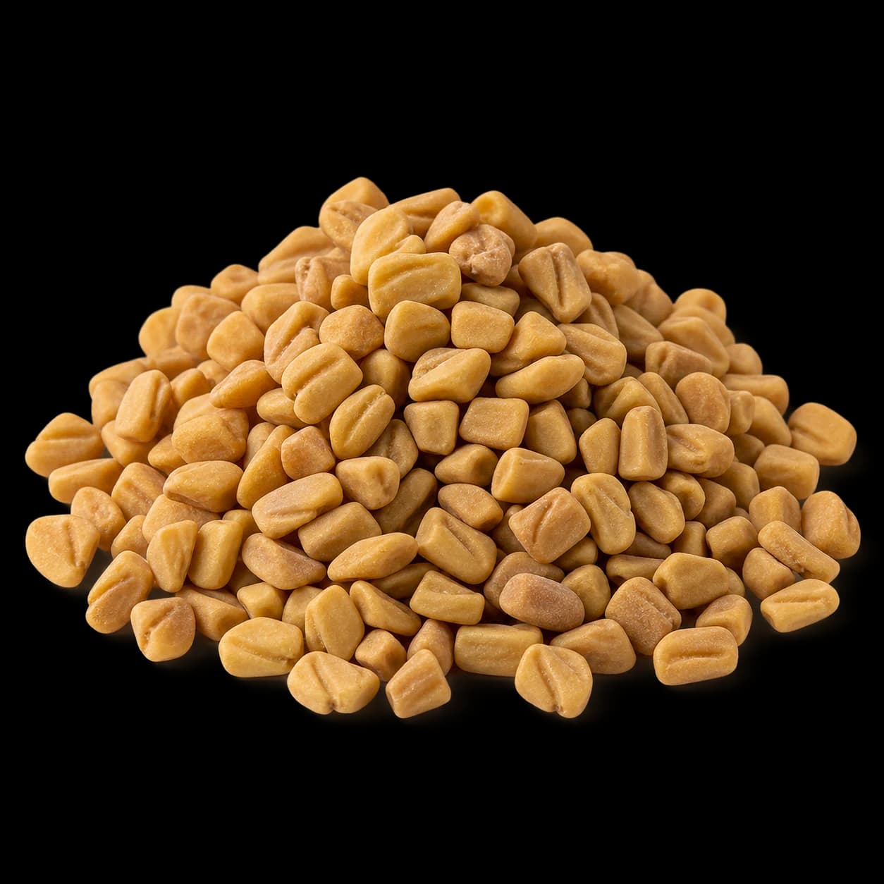 الحلبة